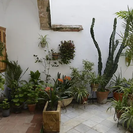 Casa Rural Las Cadenas Del Cananeo Guest house *